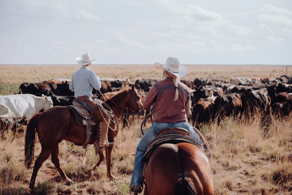 La vida en un rancho de Montana