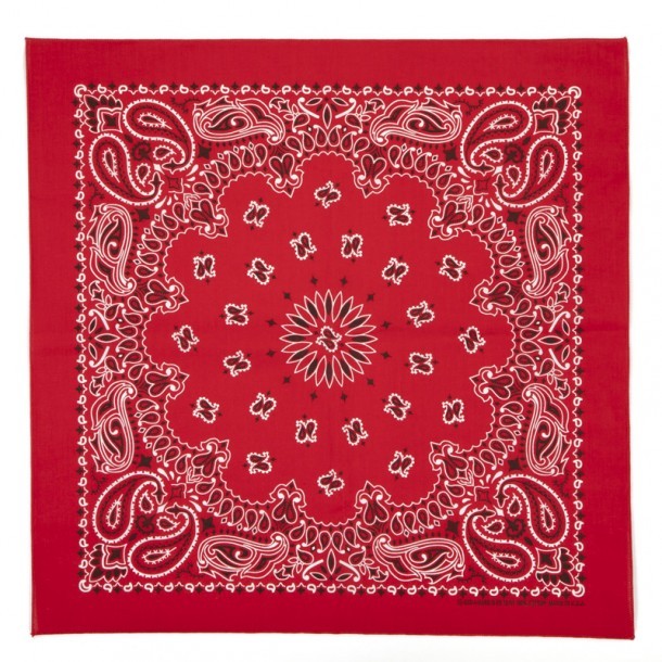  Red Bandana Party Accessory (1 count) : Clothing, Shoes &  Jewelry