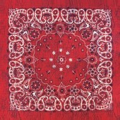 B27PAI-000_Rustic_Paisley_Red_Indigo.jpg