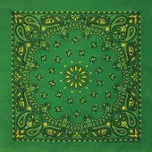 Bandana_verde_B22PAI-000026.jpg