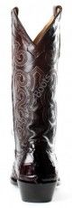 Texas-Caiman-Cola-Chocolate-HD-028.jpg